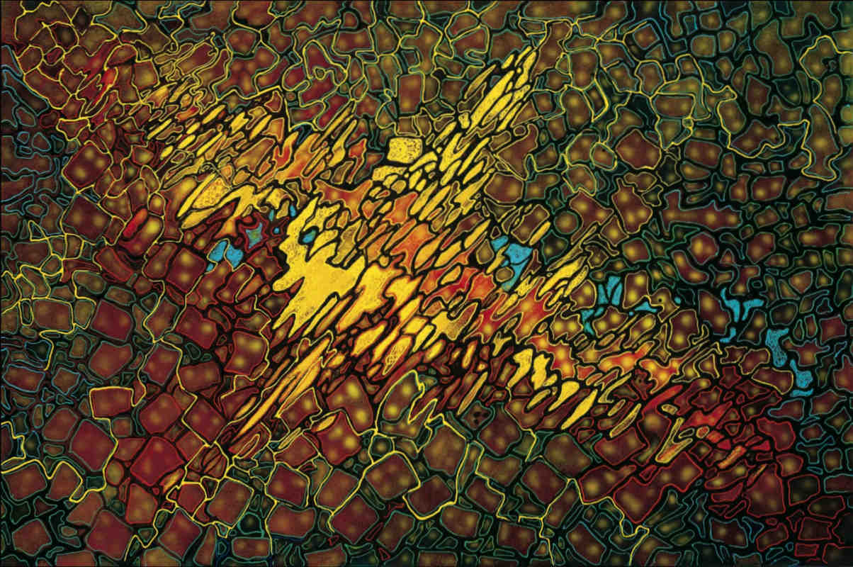 Bildstörung<br><i>120 x 180 cm</i>